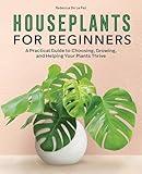 Houseplants for Beginners: A Practical Guide to Choosing, Growing, and Helping Your Plants Thrive