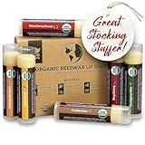 USDA Organic Lip Balm 6-Pack by Earth's Daughter - Fruit Flavors, Beeswax, Coconut Oil, Vitamin E - Best Lip Repair Chapstick for Dry Cracked Lips - Moisturizing Lip Care