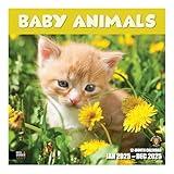 RED EMBER Select - Baby Animals 2025 Wall Calendar 12 Month | 12" x 24" Open | Thick & Sturdy Paper | Giftable | Calendar 2025