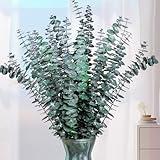 Eslibin 21 Pcs Real Dried Eucalyptus Stems, 17" Natural Fresh Eucalyptus Branches for Shower, Greenery Leaves for Vase Filler, Fragrance, Fresh Silk Dry Live Plants Decor