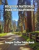 Sequoia National Park in California Images Coffee Table Book for All: a Colorful Tour of Beautiful AI Pictures for Relaxing & Meditation, for Nature ... Boundaries of Traditional Artistic Creation.