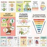 Decorably 16 Biology Posters for High School Classroom - 11x17in Science Posters for Classroom Middle School Science Posters, Life Science Posters, Biology Classroom Decor, Science Classroom Decor