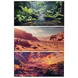 COMSUN 3 Pack Terrarium Background, 36x18 inches Polyester Reptile Background, Cloth Terrarium Background, Gobi Sunshine Cactus Stone & Green Tree Fern Stream Terrarium Background