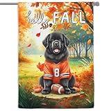 Hello Fall Newfoundland Football Welcome Autumn with Leaves Pumpkins House Flag 28x40in Double Sided Newfie Dog Lover Gifts Outdoor Decor - 012