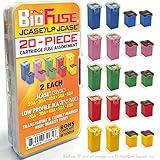 BioFuse JCASE & LP (Low Profile) JCASE 20-Piece Cartridge Fuse Assortment 20A 30A 40A 50A 60A (2 Each). Fits Most: Nissan, Toyota, Chrysler, Dodge, Chevy, GM, and Ford