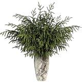 FOTEEWL Real Touch Norfolk Pine Branch - 36" Artificial Christmas Green Plants Branches Faux Greenery Stem Fake Pine Picks for DIY Crafts Garland Wreath Xmas Indoor Outdoor Home Decor (4 Pcs)