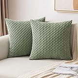 MIULEE Throw Pillow Covers Soft Corduroy Decorative Set of 2 Boho Striped Pillow Covers Pillowcases Farmhouse Home Decor for Couch Bed Sofa Living Room Spring 18x18 Inch Sage Green