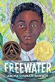 Freewater (Newbery & Coretta Scott King Award Winner)