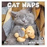 RED EMBER Cat Naps 2025 Wall Calendar 12 Month | 12" x 24" Open | Thick & Sturdy Paper | Giftable | Calendar 2025