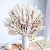 96PCS Natural Dried Pampas Grass Boho Home Decor Bouquet Phragmites Dried Flowers Bouquet for Wedding Floral Arrangements Home Decorations (96PCS)