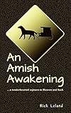 An Amish Awakening: a tenderhearted sojourn to Heaven and back