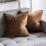 MIULEE Pack of 2 Decorative Velvet Throw Pillow Cover Soft Chocolate Pillow Cover Soild Square Cushion Case for Sofa Bedroom Car 18x 18 Inch 45x 45cm