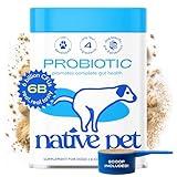 Native Pet Probiotic for Dogs - Vet Created Probiotic Powder for Dogs Digestive Issues - Probiotic Powder + Prebiotic + Bone Broth Powder Pet Food for Dog Stomach Relief - 232 Gram 6 Billion CFU 4.1oz