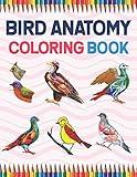 Bird Anatomy Coloring Book: Ornithology Coloring Book for Ornithologist. Bird Anatomy Coloring Book for Kids & Adults. The New Surprising Magnificent ... Anatomy & Physiology Coloring book.
