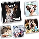 Funny Desk Signs for Dog Lovers 30 Different Fun and Flip-Over Messages for Office Desk Accessories