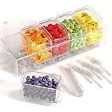 Prime Home Direct Ice Chilled Condiment Caddy | 5 Containers & Lids | Hosting Party Supplies Serving Tray Platter | Buffet, Food Server, Fruit, Garnish, Mimosa, Salad, Taco Bar Accessories Organizer