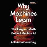 Why Machines Learn: The Elegant Math Behind Modern AI