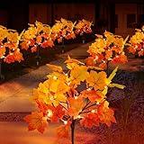 2 Pack Solar Fall Lights for Outside, Fall Décor 40LED with Maple Leaf Solar Stake Lights Outdoor, Waterproof Fall Lights for Yard Pathway, Halloween Thanksgiving Christmas Decorations