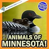 Animals of Minnesota!: A My Incredible World Picture Book for Children (My Incredible World: Nature and Animal Picture Books for Children)