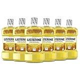 Listerine Original Antiseptic Oral Care Mouthwash to Kill 99.9% of Germs That Cause Bad Breath, Plaque and Gingivitis, ADA-Accepted Mouthwash, Original Flavored Oral Rinse, 1.5 L, 6 Pack