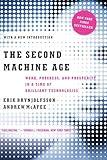 The Second Machine Age: Work, Progress, and Prosperity in a Time of Brilliant Technologies