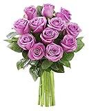 KaBloom Flowers -Valentine's Day Collection - 12 Purple Roses without vase, Gift for Birthday, Sympathy, Anniversary, Get Well, Thank You, Valentine, Mother’s Day Fresh Flowers