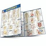 Anatomy QuickStudy Laminated Reference Guide (QuickStudy Academic)