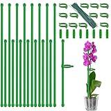 Plant Stakes,18Inch & 11Inch Plant Support Stakes,HAINANSTRY Adjustable Length Garden Stakes,Plant Stakes for Indoor and Outdoor Plants,Tomatoes/Beans/Orchid/Vegetable Stakes for Garden