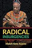 Radical Insurgencies