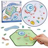 GiftAmaz Animal and Plant Cell Anatomy Model, Soft Felt Toy, Early Cell Biology and Life Science STEM Toys, Classroom Teaching Aid, Educational Learning Activities STEM Birthday Toys for Kids 6+