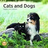 2025 Cats and Dogs Monthly Wall Calendar by Bright Day, 12 x 12 Inch Cute Kitten and Dog Breed Gift