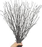 30Pcs Real Dried Birch Twigs - 17” Decorative 100% Natural Birch Branches for Easter Vases, Curly Willow Branches, DIY, Floral Arrangement, Twig Wreath, Centerpiece, Rustic Home Decor