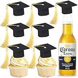 Rsstarxi 24 Pack 3D 2024 Graduation Cap Cupcake Toppers DIY 2024 Grad Cap Cake Toppers with Gold Tassle 2024 Congrats Grad Cupcake Picks for Graduation Theme Party Decorations Gold