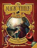 The Magic Thief: Lost