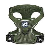 PoyPet Reflective Soft Breathable Mesh Dog Harness Choke-Free Double Padded Vest with Adjustable Neck and Chest(Military Green,M)