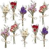 10 Pack Dried Flower Bouquets Mini Dried Flower with Stem Forget Me Not Dried Embossing Natural Flower Bundles Artificial Flower Dried Floral Arrangement for Vase DlY Wedding Decor (Forget Me Not)