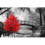 najiaxiaowu Adult Puzzle Classic Jigsaw Puzzle 1000 Pieces Wooden Puzzle DIY Black and White Bridge and Red Tree Modern Home Decor Intellectual Game Wall Art Unique Gift 75x50cm
