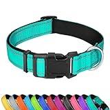 PWOD Reflective Dog Collar, Adjustable Soft Neoprene Padded Nylon Pet Collars with Buckle for Medium Dogs, Teal,M