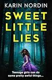 Sweet Little Lies: Get ready for the addictive new psychological crime thriller for 2024