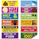 BkeeCten 12pcs Funny Car Magnet, Prank Magnetic Bumper Decals for Adult Waterproof Car Hilarious Bumper Sticker Reusable Joke Funny Bumper Warming Sign for Car Truck Vehicle