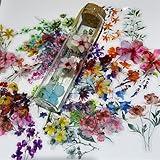 50 Pieces Natural Flower Themed Stickers for Scrapbooking, Self-Adhesive Scrapbooking Stickers Supplies Journal Stuffers for Adult Card Making Letters DIY (Flower)
