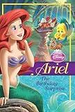 Disney Princess: Ariel: The Birthday Surprise (Disney Princess Chapter Book)