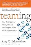 Teaming: How Organizations Learn, Innovate, and Compete in the Knowledge Economy