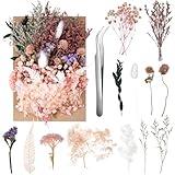 Real Dried Flowers, Natural Dry Flowers Mixed Natural Pressed Flowers Flores Secas Dried Florals for Crafts,Resin,Candle Making (Multicolor 2)