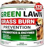 YUMA'S Dog Urine Neutralizer for Lawn - 170 Chews - Advanced Grass Green Savers for Dog Urine - Canine Pee Grass Neutralizer Supplement - Green Lawn Treats with Probiotics and Digestive Enzymes