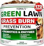 YUMA'S Dog Urine Neutralizer for Lawn - 170 Chews - Advanced Grass Green Savers for Dog Urine - Dog Pee Grass Neutralizer Supplement - Green Lawn Treats for Dogs with Probiotics and Digestive Enzymes