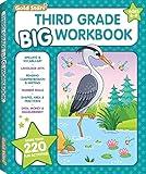 3rd Grade BIG Workbook All Subjects for Kids 8 - 9 includes 220+ Activities, Spelling, Grammar, Reading Comprehension, Writing, Math, and More