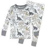 HonestBaby 2-Piece Pajamas Sleepwear PJs 100% Organic Cotton for Baby, Toddler, Kids, Boy, Dino Mite, 4T