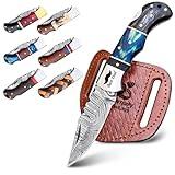 WARLOCKS CLUB Personalized Handmade Damascus Steel Pocket Knife - Premium Folding Knife, Damascus Hunting Knife with Liner Lock, Folding Knives for Men with wood handle for Outdoor Survival