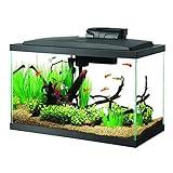 Aqueon Aquarium Fish Tank Starter Kit with LED Lighting 10 Gallon Fish Tank